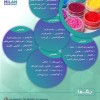 واردات و فروش انواع رنگ های خوراکی طبیعی