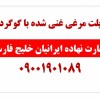 پلت مرغی غنی شده با گوگرد مناسب سیب زمینی دراصفهان