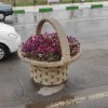 گلدان زیبای طرح سبد فایبرگلاس زرین کار