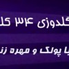 دستگاه گلدوزی 34 کله مهره زنی و پولک زن
