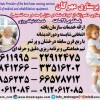پرستار کودک در منزل