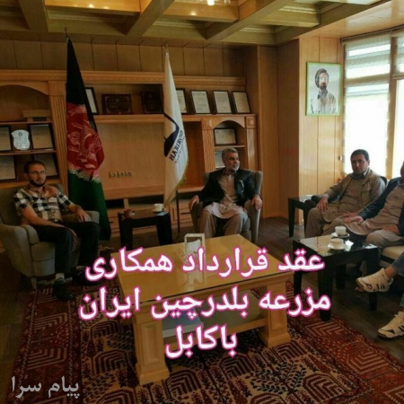 پرورش و فروش محصولات بلدرچین