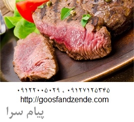 چرم سازی دباغی 