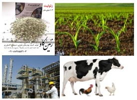 کاربردهای زئولیت  Zeolite 