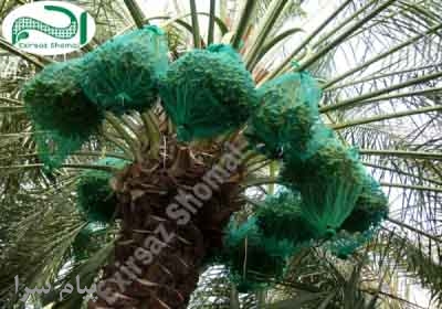 توری محافظ خرما کیسه خرما