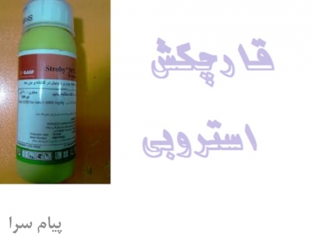 فروش عمده سم قارچکش استروبی