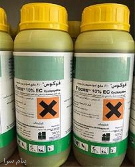 فروش سم علف کش فوکوس