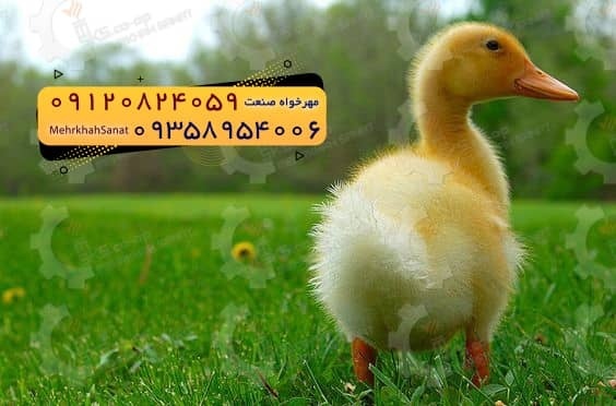 تعاونی مهرخواه صنعت