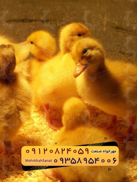 تعاونی مهرخواه صنعت