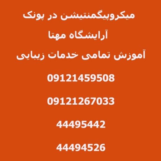 میکروپیگمنتیشن در پونک