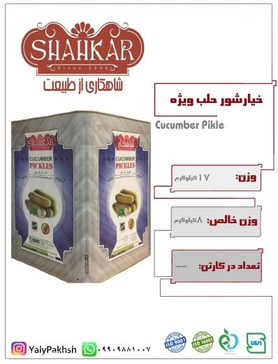 خیارشور حلب شیشه وکیوم