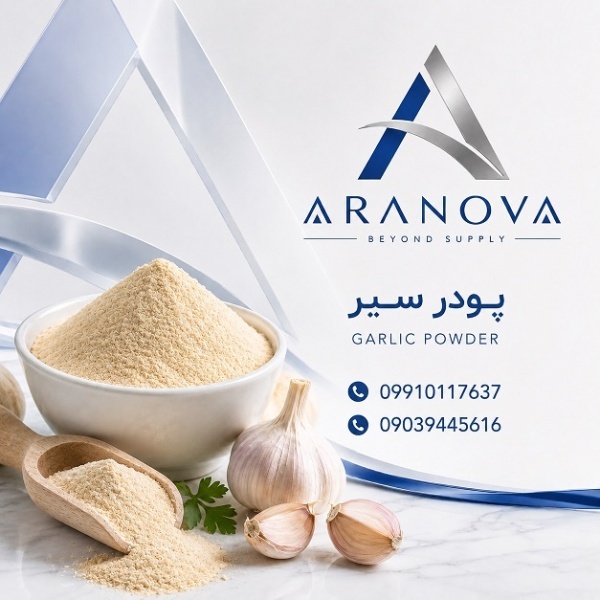 فروش پودر سیر با کیفیت | آرانوا تامین کننده مستقیم پودر سیر