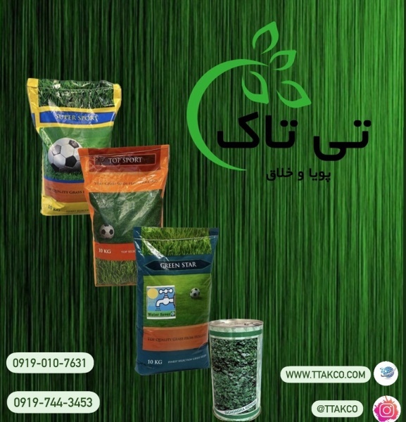 قیمت بذر چمن های سایه دوست 09197443453