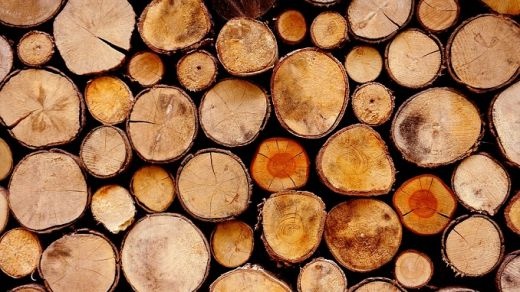 فروش انواع چوب روسی | چوب روسی قیمت