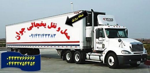 حمل و نقل و باربری یخچالداران مشهد