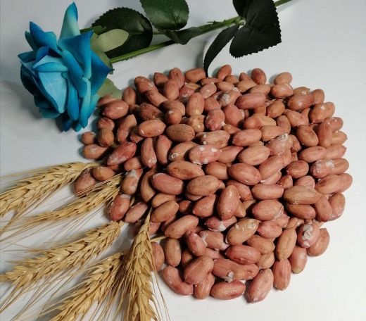 فروش بادام زمینی