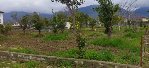 زمین ۱۳۵۰متری/ مسکونی/سنددار