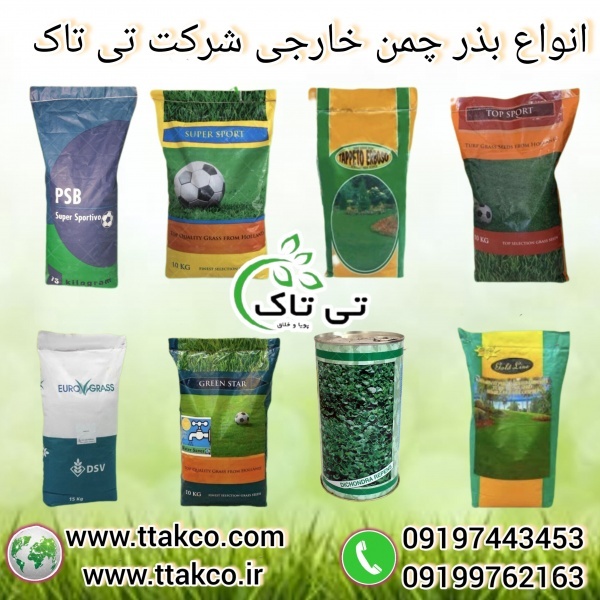 فروش بذر چمن و تخم چمن با بهرین قیمت و کیفیت