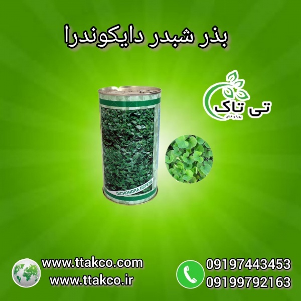 فروش بذر شبدر دایکوندرا 09197443453