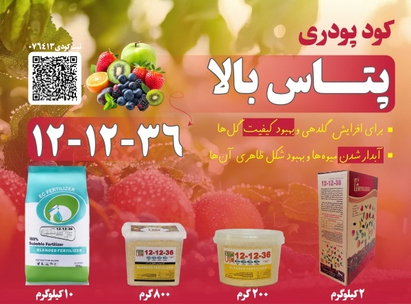 کود 12-12-36 پودری پتاس بالا مخصوص درشت شدن محصول