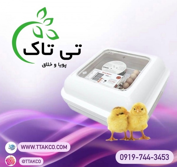 دستگاه جوجه کشی کابینتی ، جوجه کشی با ظرفیت بالا