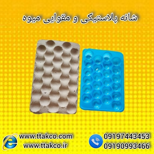 بسته بندی میوه های صادراتی با شانه بسته بندی میوه