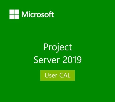 Project Server 2019