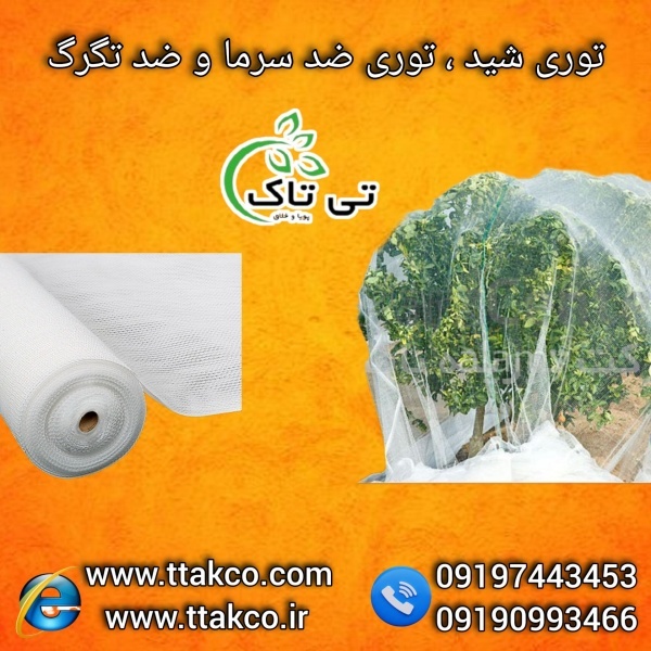 فروش ویژه انواع بذر چمن بهترین قیمت و کیفیت