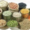 کار در منزل با بسته بندی حبوبات