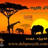 تور آفریقا