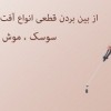 سمپاشی حشرات